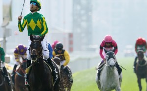 Joao Moreira takes out the 2016 Group One Hong Kong Vase (2,400m) aboard Satono Crown. Photos: Kenneth Chan