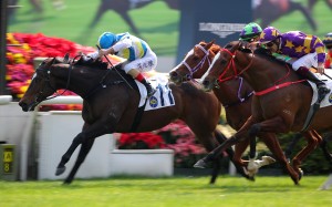 Andrea Atzeni steers Happy Park to victory at Sha Tin earlier this month. Photos: Kenneth Chan