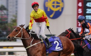 California Spangle looks to return to the winners’ enclosure for the first time since March. Photos: Kenneth Chan