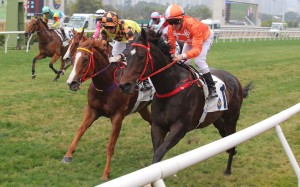 Howdeepisyourlove (inside) overhauls Magic Control in the firnal stride. Photos: Kenneth Chan