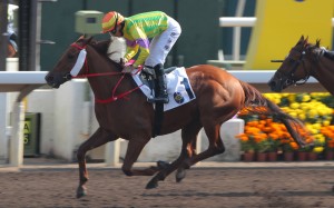 Derek Leung steers Sword Point to success at Sha Tin on Sunday. Photos: Kenneth Chan
