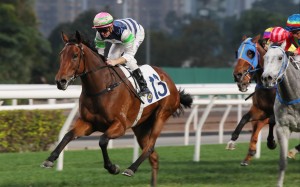 Packing Angel cruises to victory under Zac Purton. Photos: Kenneth Chan