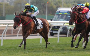 Raging Blizzard bursts clear to win  under Hugh Bowman. Photos: Kenneth Chan