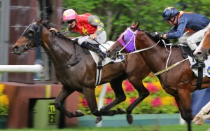 Hugh Bowman and Majestic Knight claim victory at Happy Valley in July. Photo: Kenneth Chan