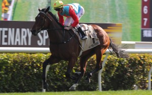 Ka Ying Rising scorches to victory in last month’s Group One Centenary Sprint Cup (1,200m). Photos: Kenneth Chan