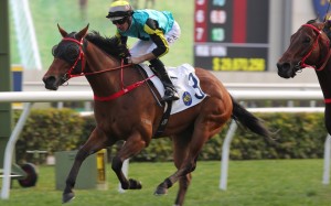 Raging Blizzard delivers under Hugh Bowman at Sha Tin last month. Photo: Kenneth Chan