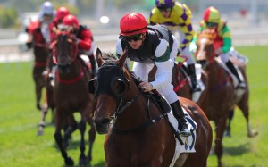 Zac Purton spears La Forza to victory at Sha Tin on Sunday. Photo: Kenneth Chan