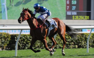 Lucky With You soars home to win the TVB Cup under Luke Ferraris. Photos: Kenneth Chan
