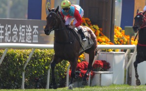 Zac Purton wins the Group One Centenary Sprint Cup (1,200m) aboard Ka Ying Rising last month. Photos: Kenneth Chan