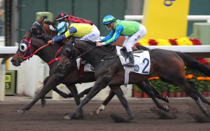 Never Peter Out (yellow colours) delivers at Sha Tin last month. Photos: Kenneth Chan