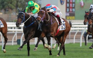 Sky Trust (left) and Winning Gold fight out the finish at Sha Tin on February 9. Photo: Kenneth Chan