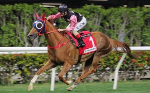 Andrea Atzeni gives Beauty Destiny a pat as he soars to victory at Happy Valley. Photos: Kenneth Chan