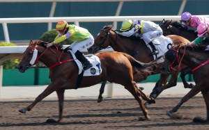 Sword Point scores on the dirt on January 5. Photos: Kenneth Chan