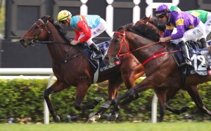 Helios Express (right) runs second to ka Ying Rising in December’s Hong Kong Sprint. Photos: Kenneth Chan