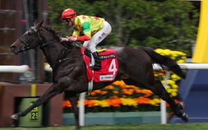Soleil Fighter wins under Zac Purton at Happy Valley earlier this month. Photos: Kenneth Chan