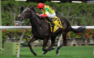 Ryan Moore guides Soleil Fighter to victory at Happy Valley. Photos: Kenneth Chan