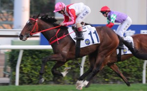 Noisy Boy wins at Sha Tin under Andrea Atzeni. Photos: Kenneth Chan
