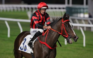 Hugh Bowman aboard Mickley after his Sha Tin victory in December. Photos: Kenneth Chan