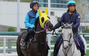 Ryan Moore heads out to trial Sunny Da Best at Sha Tin last week. Photos: Kenneth Chan