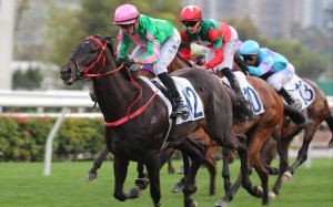 Ben Thompson steers Bundle Award to an impressive win. Photos: Kenneth Chan