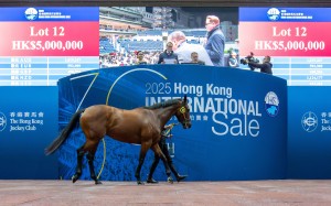 Lot 12 tops Friday night’s Hong Kong International Sale. Photo: HKJC