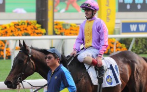 Andrea Atzeni has regained the Derby ride on Johannes Brahms. Photos: Kenneth Chan