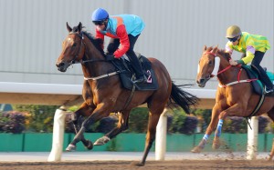 Ka Ying Rising wins a trial under Zac Purton at Sha Tin on Friday morning. Photo: Kenneth Chan