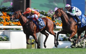 Craig Williams boots home Cap Ferrat in Sunday’s Hong Kong Derby (2,000m) at Sha Tin. Photos: Kenneth Chan