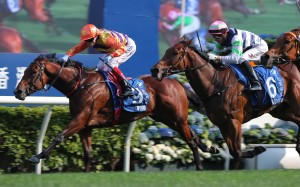 Cap Ferrat wins Sunday’s Hong Kong Derby under Craig Williams. Photo: Kenneth Chan