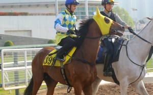 Zac Purton and Galaxy Patch head out to trial last week. Photos: Kenneth Chan