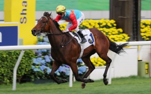 Ka Ying Rising cruises to victory in the Sprint Cup under Zac Purton. Photos: Kenneth Chan