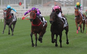 The All Out (right) hangs on to beat Quick Money in the first Griffin race of the season. Photos: Kenneth Chan