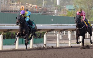 Victor The Winner scores an impressive trial win over Chancheng Glory. Photos: Kenneth Chan