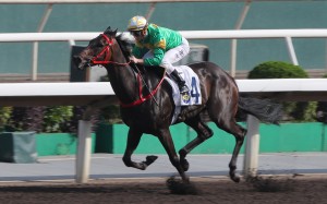 Zac Purton guides Bottomuptogether to a dominant win. Photos: Kenneth Chan