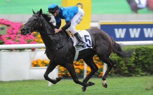 Dazzling Fit produces a sparkling performance at Sha Tin on Sunday. Photos: Kenneth Chan
