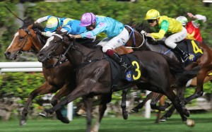 Casa Rochester gets up late at Happy Valley for Mark Newnham. Photos: Kenneth Chan