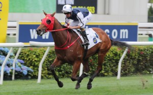 Hugh Bowman guides Fast Network to a brilliant win on March 30. Photos: Kenneth Chan