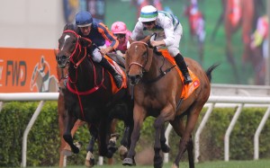 Voyage Bubble (white, blue and green colours) will bid to become the second winner of Hong Kong’s Triple Crown later this month. Photos: Kenneth Chan