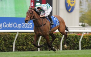 Voyage Bubble wins the second leg of the Triple Crown, the Hong Kong Gold Cup, in February. Photo: Kenneth Chan