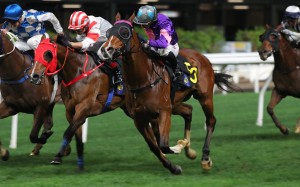 Spicy Gold (purple colours) gets up close to home at Happy Valley in March. Photos: Kenneth Chan