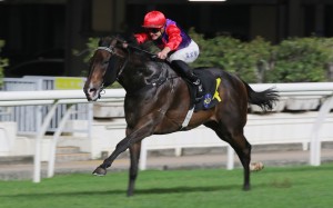 Chateauneuf and Luke Ferraris win at Happy Valley on May 7. Photos: Kenneth Chan