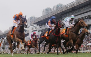 Sunlight Power (left) runs third in last month’s Group One Champions Mile. Photo: Kenneth Chan
