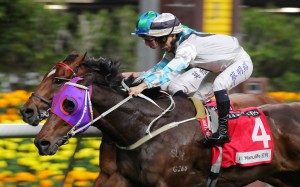 Son Pak Fu salutes under Matthew Chadwick at Happy Valley in February. Photo: Kenneth Chan