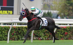 Derek Leung and Voyage Samurai in splendid isolation at Sha Tin. Photos: Kenneth Chan