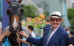 David Hayes with in-form dirt specialist Solid Shalaa. Photos: Kenneth Chan