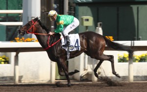 Bottomuptogether wins under Zac Purton at Sha Tin in April. Photo: Kenneth Chan