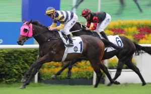 Packing Hermod salutes under Zac Purton last month. Photo: Kenneth Chan