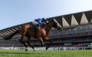 Trawlerman dominates the Ascot Gold Cup under William Buick. Photo: Reuters