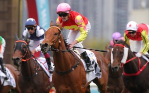 Can Classic Mile winner My Wish make the leap to Group One victor this season? Photos: Kenneth Chan