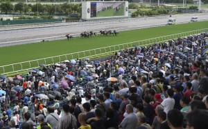 A bumper crowd is expected to converge on Sha Tin this Sunday. Photos: Kenneth Chan